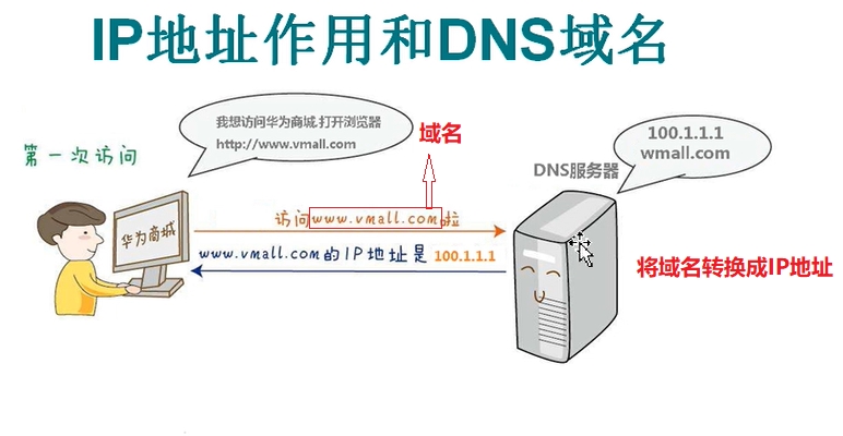 IP反查域名：方法与重要内容解析